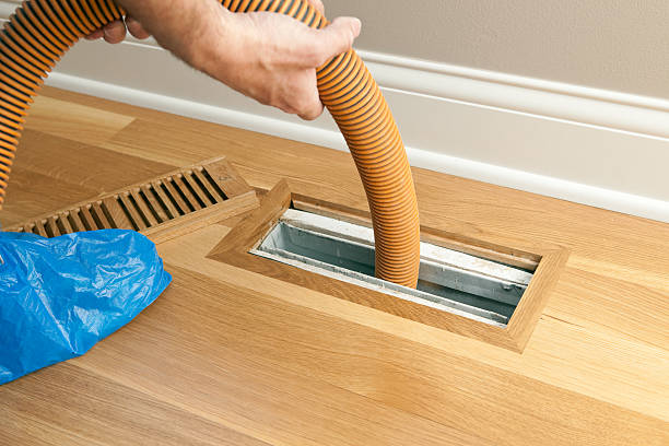 Best Dryer Vent Cleaning Services  in Citrus Park, FL